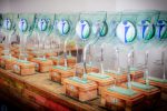Resort em Porto de Galinhas recebe prêmio de responsabilidade socioambiental Westin - preemio Instituto Chico Mendes (3)