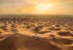 dubai deserto