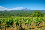 Enoturismo em ilhas europeias: Sicília, Sardenha e Córsega Sicilian,Vineyards,With,Etna,Volcano,Eruption,At,Background,In,Sicily,