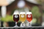 Festival Brasileiro da Cerveja acontece em Blumenau Festival Brasileiro da Cerveja Blumenau