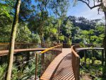 Parque do Caracol reabre neste sábado em Canela Deck-da-Cascata-do-Moinho