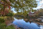 5 dicas essenciais para quem vai viajar para o Japão Inokashira Park