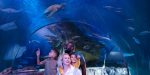 Flórida Central terá nova atração em junho sea-life-aquarium-ocean-tunnel.jpeg