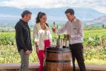 Caminho do vinho de Salta: entre vinhedos e montanhas na Argentina vinhos salta 1