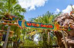 Área infantil imersiva é novidade no Busch Gardens Tampa Bay Wild Oasis at Busch Gardens Tampa Bay (4)