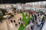 Salão Nacional do Turismo: a grande vitrine do Brasil 54738533439_69930e7fd9_c