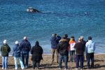 Puerto Madryn tem natureza selvagem, herança galesa e experiências inesquecíveis na Argentina Puerto Madryn_Divulgação