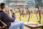 Vale dos Vinhedos vive nova temporada de encantamento com o turismo em alta no inverno link (1)