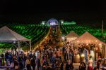 Natal nos Vinhedos 1