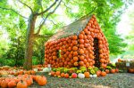 Trick or Treat? Um Halloween Cheio de Sabor no Sul dos USA ba7ebdab-fd0f-45de-8de4-9c26c71d7c88