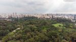 Aproveite o melhor da primavera nos principais parques de São Paulo pq ibira vista de cima
