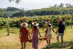 Vindima é atração da Região Uva e Vinho durante o verão giordani-turismo-vindima-2