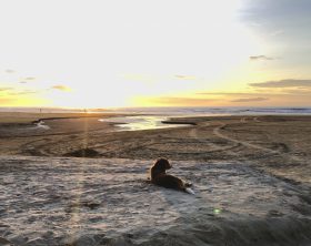 Feriados 2026 Litoral Norte SP