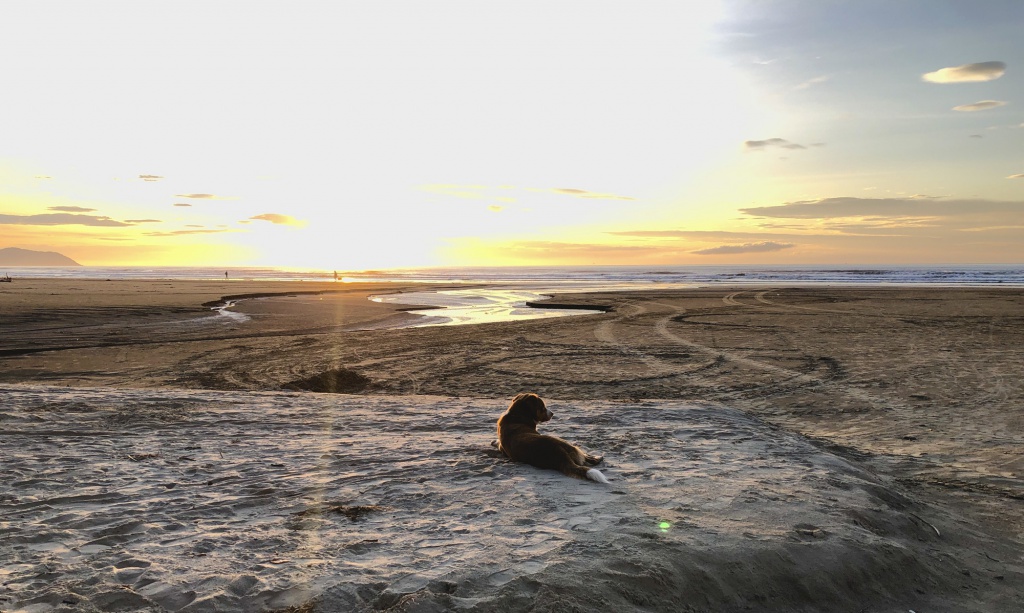 Feriados 2026 Litoral Norte SP