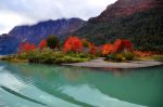 Puerto Blest_Divulgação Emprotur Bariloche