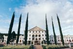 Salton tem programação de experiências durante a vindima vindima salton 1