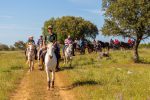 Alentejo celebra fé e tradição com calendário anual de festas populares e romarias Nossa Senhora d’Aires, em Viana do Alentejo - crédito Nelson Carvalheiro