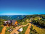 Olivas de Gramado celebra a safra 2026 com festival imersivo Olivas de Gramado