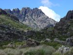 Parque Nacional do Itatiaia inicia Temporada de Montanha PNI_Parte Alta - Agulhas Negras - Crédito Daniel Toffoli (1)