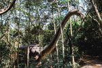 Terra dos Dinos se destaca como espaço de autonomia para pessoas com TEA image (1)
