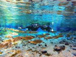 Nascente Azul - flutuação (1)