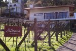 Cristofoli amplia experiências para a temporada de frio unnamed (7)
