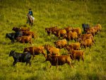 Boqueirão Hotel Fazenda preserva a cultura campeira na Capital do Turismo Rural 156