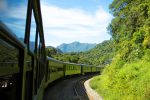 Trem da Serra do Mar Paranaense amplia operação em julho -MG-1780--1-