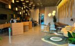 Grand Mercure São Paulo Pinheiros abre as portas celebrando a essência da cidade unnamed (75)