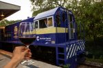 Trem da República lança pacote que une passeio ferroviário e feira de vinhos em Itu ChatGPT-Image-7-de-ago.-de-2026-14-34-12