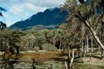 Morretes recebe quinta edição do LENDAA com música eletrônica, natureza e wellness Santuario Nhundiaquara_Foto de Libelula Fotografia
