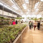 Festa de Flores e Morangos amplia roteiro de turismo rural em Atibaia IMG-5718
